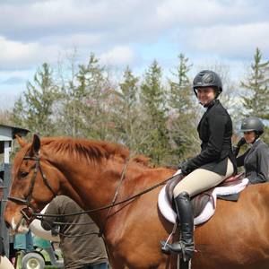 Meet your Posher, Molly